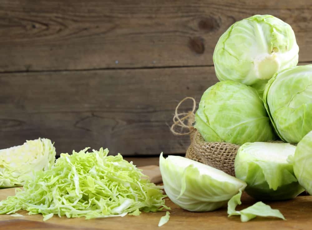 تصویر 3 از خرید کلم پیچ زرد + قیمت فروش استثنایی